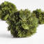 Wren Hill Faux Cypress Plant-575062521