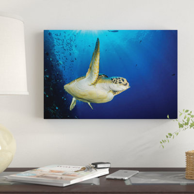« a green sea turtle nage par un récif sous le soleil, north sulawesi, indonésie », reproduction de photo sur toile