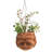 Emriye Handmade Self-Watering Hanging Planter