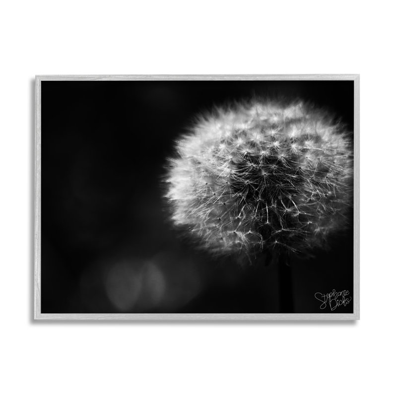 «Modern Black Dandelion» par Stephanie Dicks - Photographie à cadre flottant sur bois, L 30 po x H 24 po x P 1,5 po
