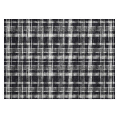 Plaid Indoor / Outdoor Rug