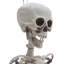 Zinia Halloween Decorative Accent
