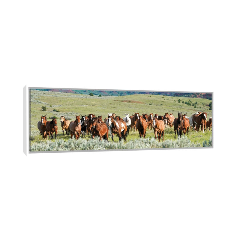 Band On The Run by Rhonda Thompson - Floater Frame Panoramic Print on Canvas, White Floater Frame, 30.48 cm H x 91.44 cm W