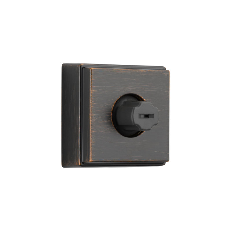 Jet Adjustable Body Spray with H2okinetic Technology, Venetian Bronze