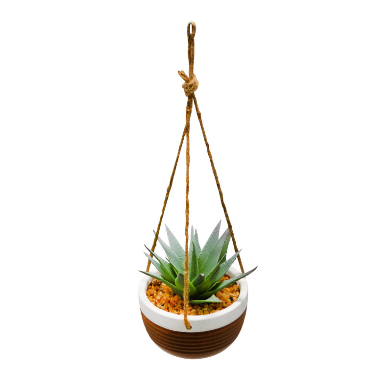 Plante grasse artificielle 3 "dans un vase suspendu