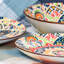 10 assiettes plates Strawberry Street Fiesta Bloom,