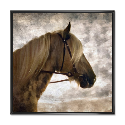 " Andalusian Horse Portrait " Painting Print