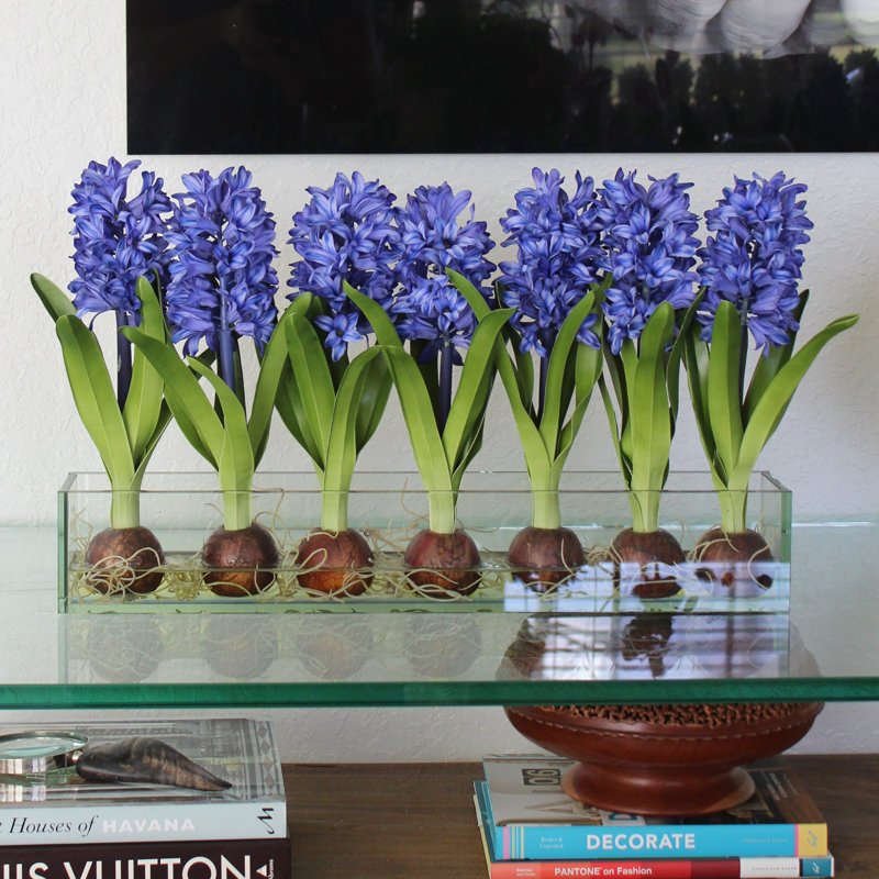 Orchids Centerpiece in Glass Planter, 16" H x 24" W x 4" D, Blue