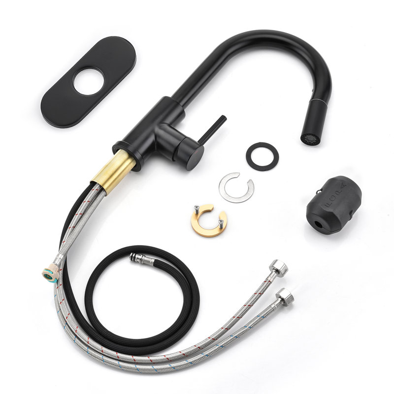 APPASO Kitchen Faucet Side Spray, Matte Black