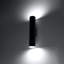 Robicheaux Flush Mounted Sconce-90577900
