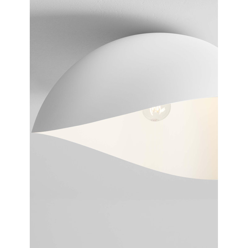Wallchiere