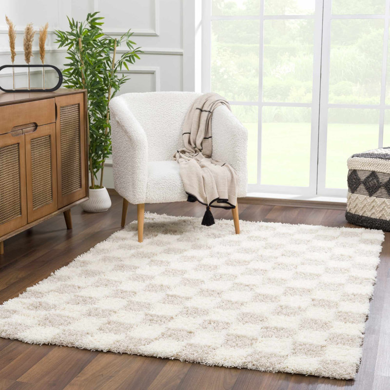 Atiran Checkered Shag Beige Area Rug, Rectangle 8'10" x 12'