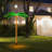 46.5'' Rope Lights