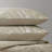 Coastal Leaves 3 Piece Cotton Duvet Set-126264875-126264876