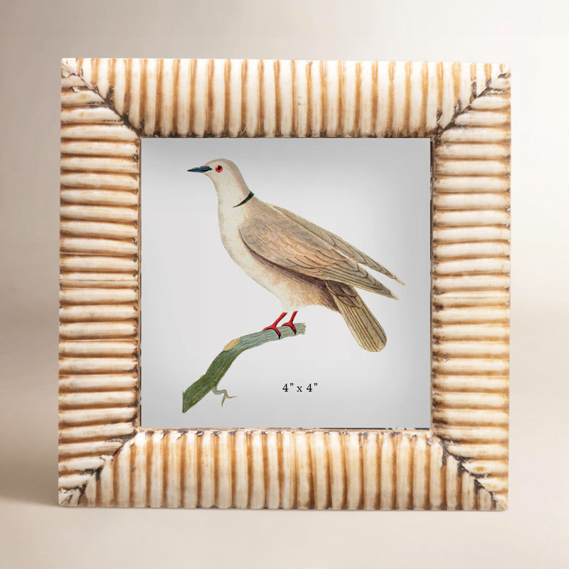 Ofra Bone Beveled Picture Frame