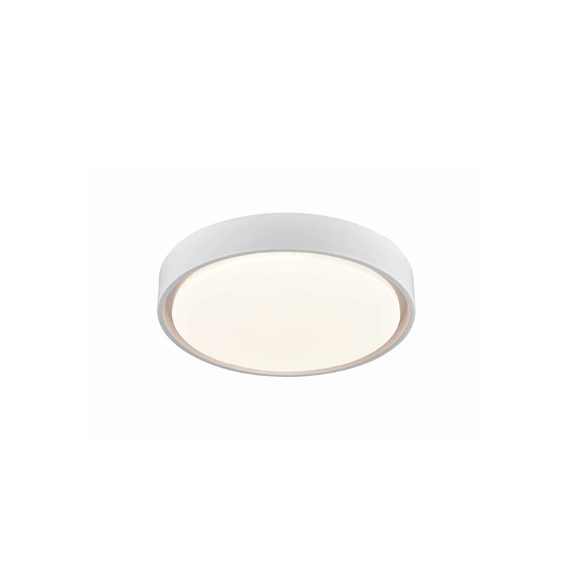 Ancram Glass LED Ceiling Light