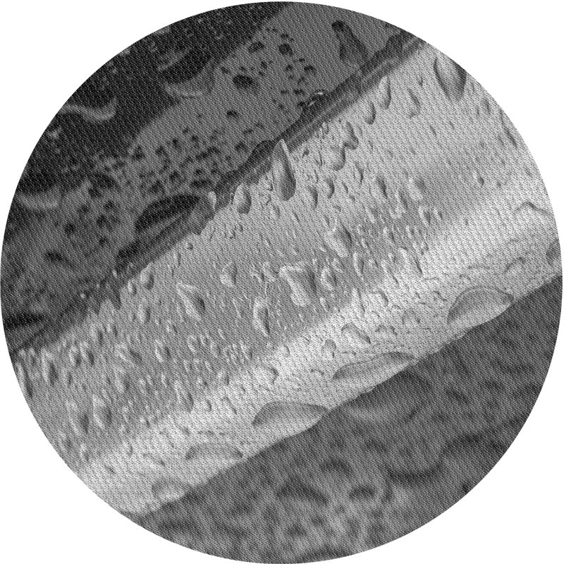 Tapis gris/zone blanche à motifs Sirstins, Rond 5 pi
