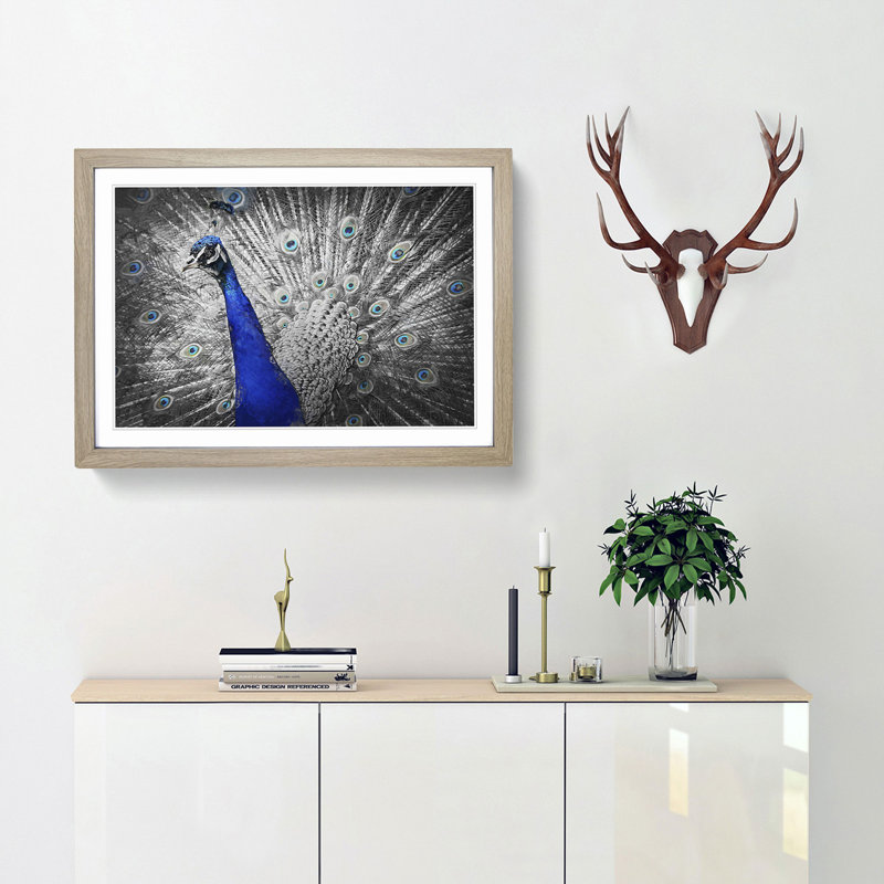 Peacock with Its Feathers Spread - Picture Frame Graphic Art Print, Oak Framed, 48cm H x 65cm W x 2cm D