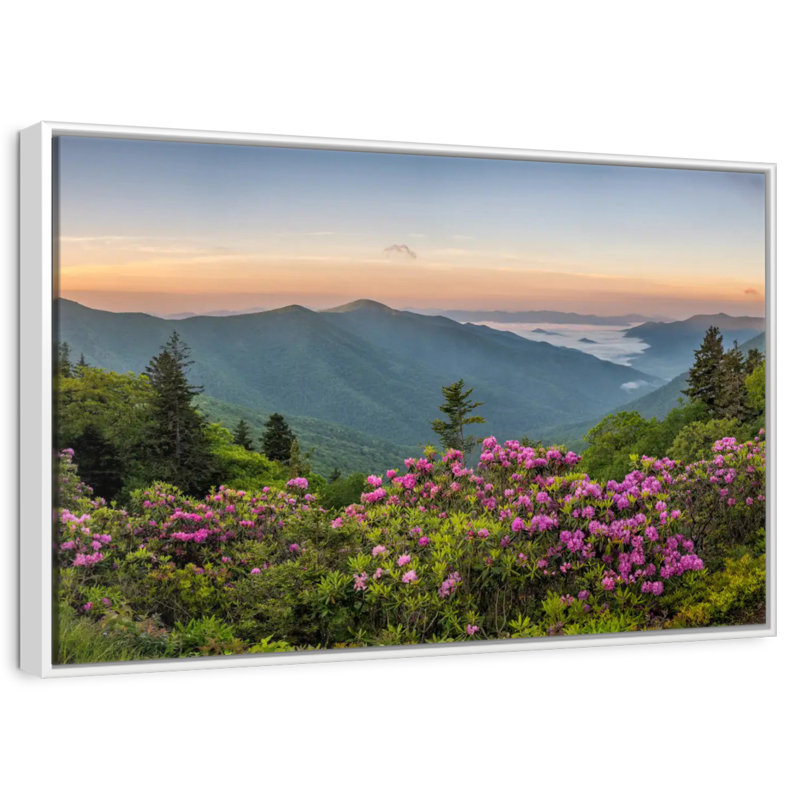 Blue Ridge Mountains View, Cadre flottant blanc, 46 po x 31 po