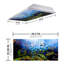 Couvre-lampes fluorescents pour salle de classe Ocean - pour luminaire 2 x 4 - par Octo Lights