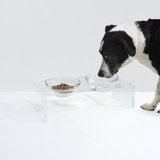 Glass Bowl Clear Elevated Feeder