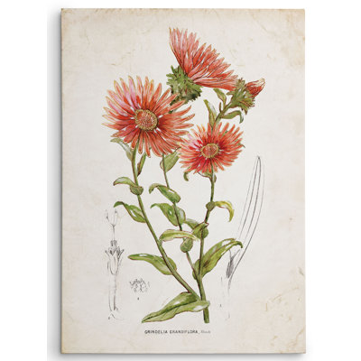 " Botanical I " by Nan