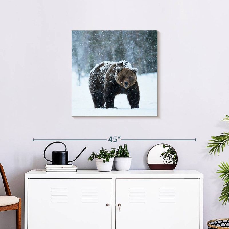 Crowle Winter Brown Bear, 24" H x 24" W