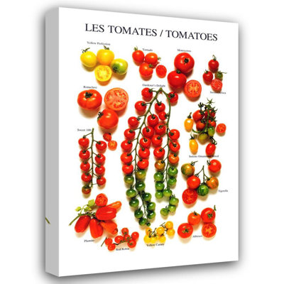 Tomatoes IMA-W136