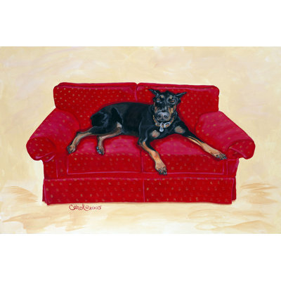 Dobie sur rouge