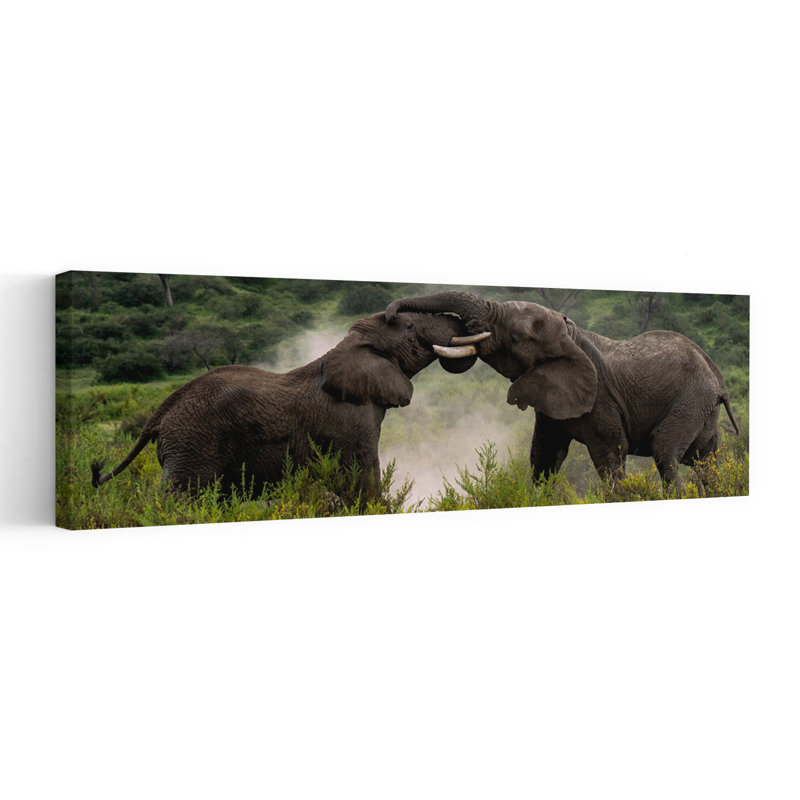 Powerful Elephant Interaction by Rajat Dhesi - Wrapped Canvas Panoramic Print, 40.64 cm H x 121.92 cm W