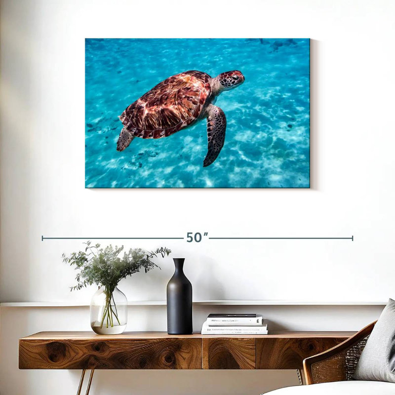 Brampt Red Turtle, 24" H x 36" W