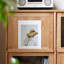 Vitrines en bois massif et verre Burlywood