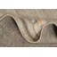 Tapis tribal Gabbeh 12 x 12