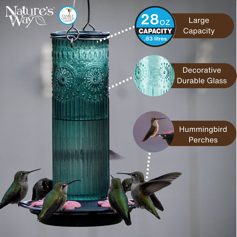 Mangeoire colibri en verre sarcelle antique