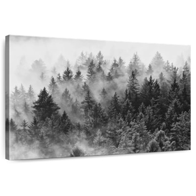 Alvord Misty Summer Forest