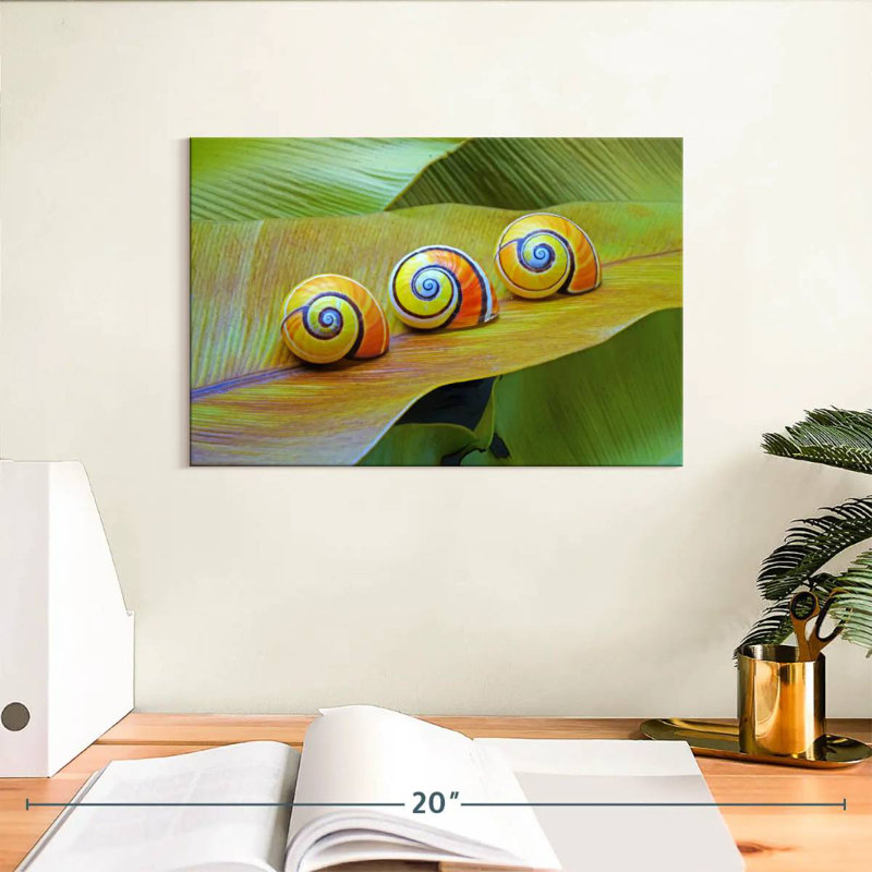 Cuban Snails, 8" H x 12" W