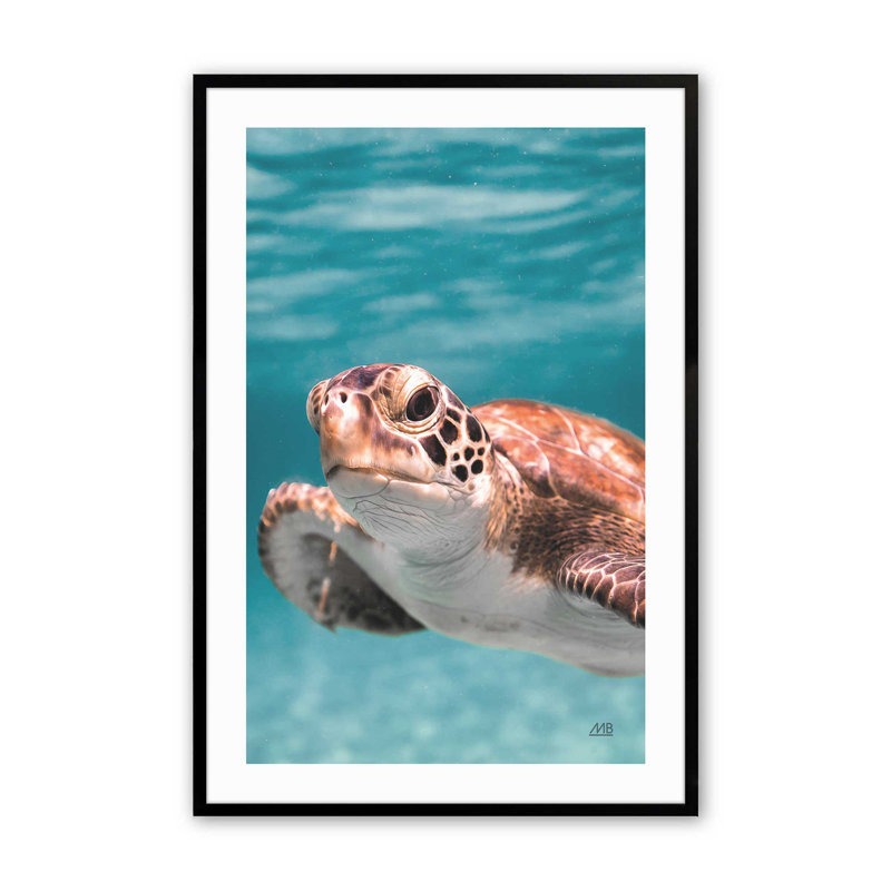 Imprimé Sea Turtle's Path II, Cadre photo noir simple, H 15 po x l 12 po