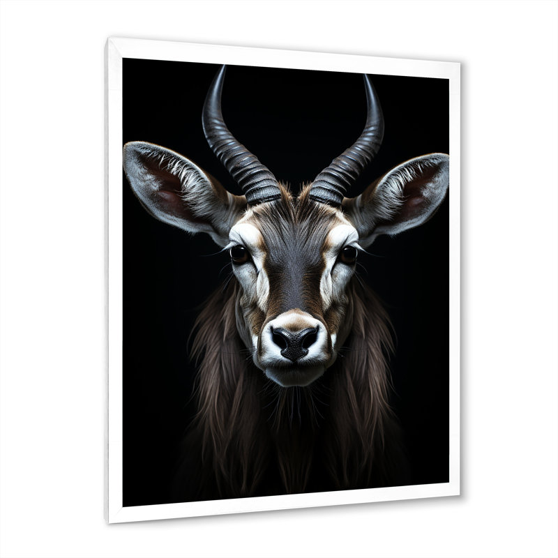 Antilope Keionna, photo II - impression, H 32 po x l 16 po x P 1 po, Cadre simple blanc
