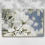 Toile tendue dépliante «Beauty-Gallery»-494896656