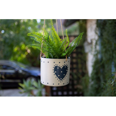 POT DE FLEURS SUSPENDU 6,5 po