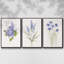 Ensemble de 3 cadres flottants sur toile-97754222-97754219