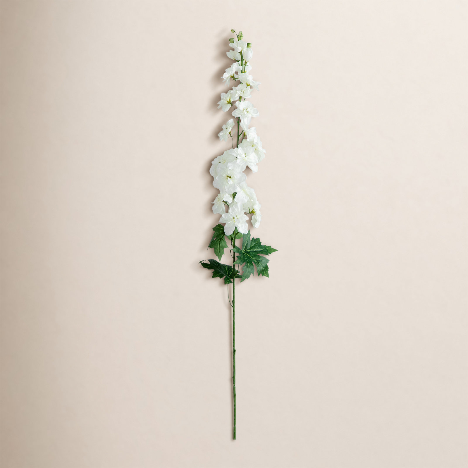 Delphinium Floral Stems, White