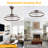 24" Smart Dimmable LED Ceiling Fan with Light, Remote & APP Control, Adjustable Color Temperature, 6-Speed Reversible for Living Room, Bedroom-897064514