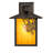 Rustic Lodge Solid Brass Armed Sconce