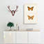 Variegated Fritillary Butterfly by S.F. Denton - Wrapped Canvas-55370190
