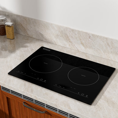 Portable Touch Control 20.5" Induction Cooktop with 2 Elements
