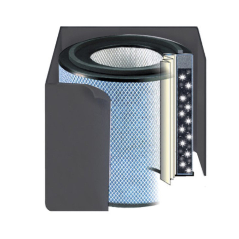 Filtre de rechange Austin Air Healthmate Plus, blanc