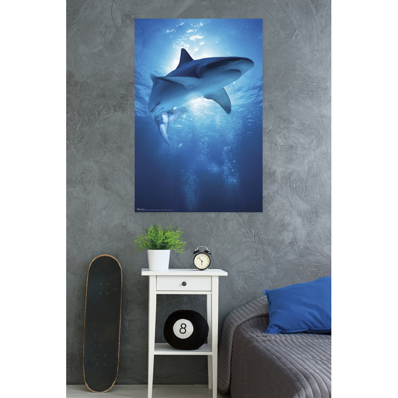 Impression sur papier profondeur requin
