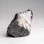Chrysanthemum Stone From China (110.6 Grams)