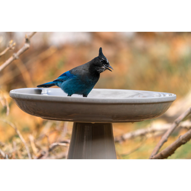 Gray Ceramic Locking Top Bird Bath Stand